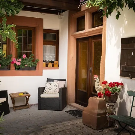 Maison Dietenbeck Wissembourg Extérieur photo